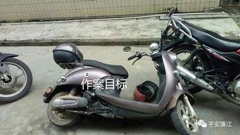 廉江电动车事件最新爆料,真相与争议再起  第1张